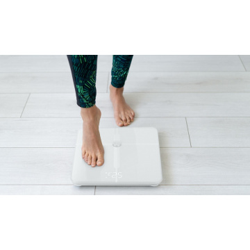 athena-fit-2-spc-smart-scale-compatible-with-alexa-and-google