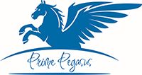 PRIMEPEGASUS